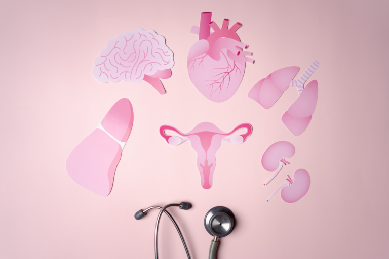 Comprendre et Optimiser Son Cycle Menstruel : Un Guide pour Mieux Vivre au Quotidien